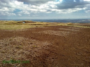 Bare peat and research plots at Holme Moss.
