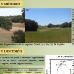 Fragmentación, ecología del suelo y su interacción con las plantas: exploración del cambio global me...