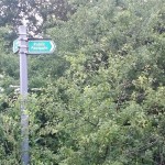 GPS mapping and fitness tracking