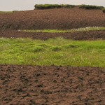 Bacterial and fungal communities in a degraded ombrotrophic peatland undergoing natural and managed ...