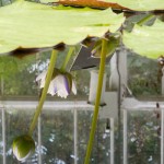Organised reflection