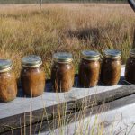 Temperature response of methane oxidation and production potentials in peatland ecosystems across Fi...