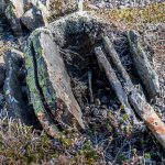 Cracked stone with lichen