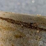 Microbiological self-healing of structural concrete underground incubation for geotechnical applicat...