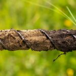 Primary school lesson on soil