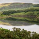 Budget 2020: enough cash for trees and soil?