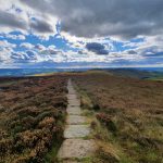 Towards a microbial process-based understanding of the resilience of peatland ecosystem service prov...