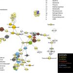 Active microbial ecosystem in glacier basal ice fuelled by iron and silicate comminution-derived hyd...