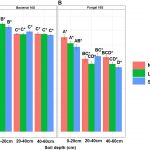 Changes in nitrogen functional genes and microbial populations in soil profiles of a peatland under ...