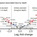 Spatial organisation of fungi in soil biocrusts of the Kalahari is related to bacterial community st...