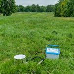 Rewilding and the carbon cycle