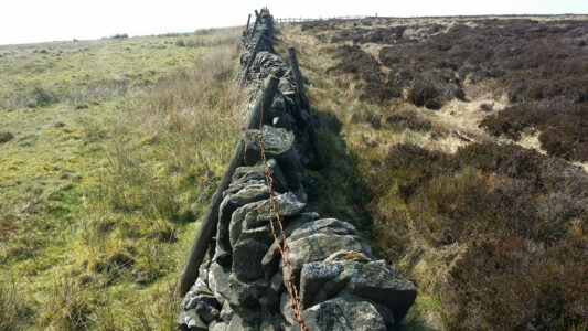 Alternative land management divided by a wall.